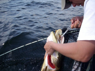 3057C48E-895E-438B-901F-C65D71A61820