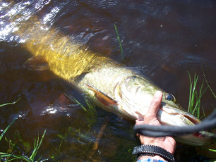 30618DFC-19A5-4E20-A11A-2B497116407C