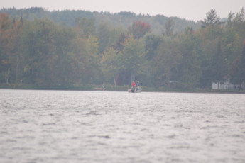 306e7a09-1b04-465b-adae-d8e6d0eb270e