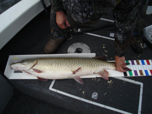 30af811d-d17e-4290-ad82-38c95e15e6b6