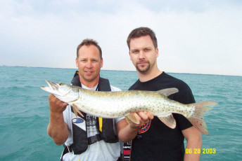 3106e2f8-24b1-49c1-a2ce-93fd4ffc28e1