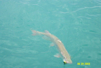 312b3fe7-89a4-4ac0-879a-2fa594fabe28