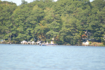 314F6754-9F8D-44D8-8631-F6E7037FD5D1