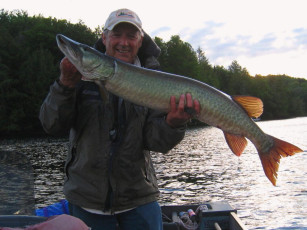 31F4DC96-9D53-47E3-B202-A058B94925B8