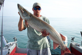 31da53e7-9c17-41dd-83a6-c6d7752154f6