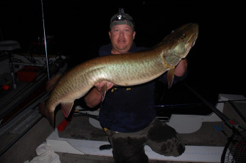 3213CCE2-D35D-4BD8-940A-911825CB50C3