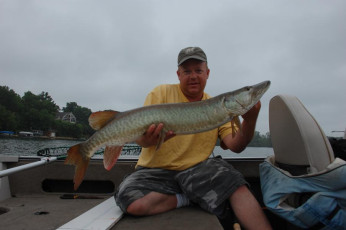 321FDFDA-8898-4BDB-9DA1-6EFE46137B3F