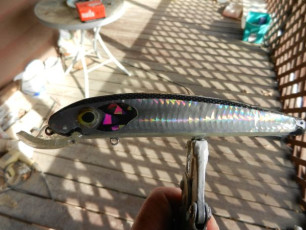 328EA808-4B6B-4CDE-A4E6-D10B94A326D9