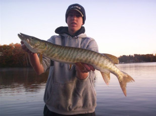 329EA58C-00BC-4370-9377-7BD7C907928F