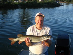 32e15f89-aaf0-4aa5-8e84-ff38a3e52de5