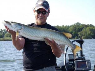 341A2113-0387-438E-B88C-643DF214A510