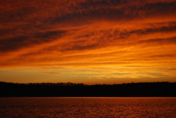 341CFB82-7181-4E48-9FA1-2F80A3F5951A