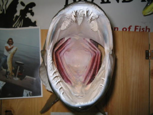 3422c582-05d6-4b2f-831d-97f9f70333bf