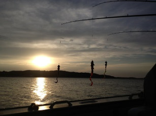 350D4251-C922-49FC-A673-B5AEC2132441