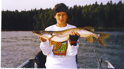 3537869e-4380-4f7f-8341-cdf34f9053a2