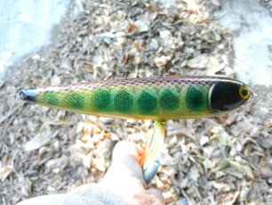 35875152-B2A3-48D6-BCFF-06693A9C846E