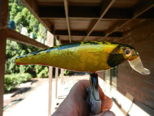 35E28F2E-5C56-4EE6-A08B-17E1A853FEC3