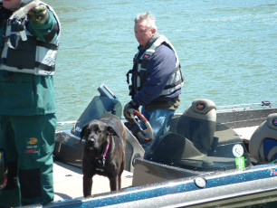 35e1a374-5bf9-4d94-8d02-0e5d17466ff8