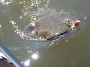 362a2e51-5b0d-4cc4-8e5f-f10310893968