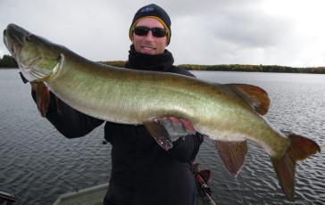 367A317D-44E2-40B5-BBDB-B1FC45D8EEBD