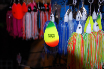 36D4A398-E083-44B9-AE7F-021C50DD3C95