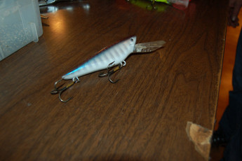 373193BE-189A-4B78-BB02-B3BC746E1CE7