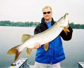 3740eb55-cea0-4d71-a6df-607d62cfd1a4