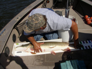 376caca4-b203-4b82-9ace-58bd9bb75afa