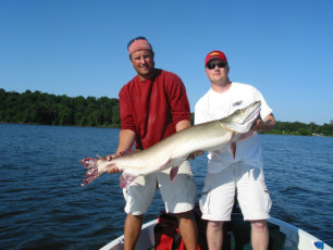 37ac2808-90d5-4ba7-8660-b48be72a923f