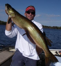 37e88cc7-f605-4672-abef-401137dc2343