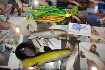 3835f87e-3888-43a1-81ef-5354173ec195