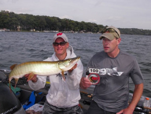 388440AF-C593-47B3-A5FE-3FDC2A1F08CE