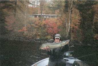 38BE7426-CC7B-4D36-BAFD-242A389DE9D0