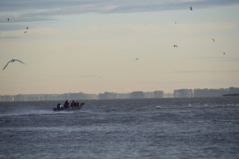 38FF0374-36F6-4D05-8150-C380665214E1