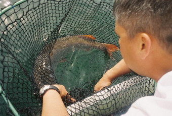 38b84c27-067c-42ac-a792-267fabb76bfd