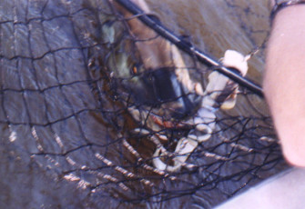 39f5f21c-6f35-4cbc-8d43-841f462d7a80