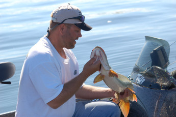 3A1D7ED5-D930-419D-B1AC-5E83024F0FF2