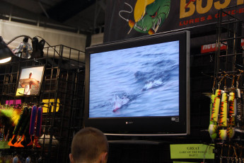 3A57A976-647E-43EC-9EFA-AF8C273A7C09