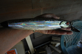 3AE782E6-8EE4-4668-8FDC-173EC5BDD9DF