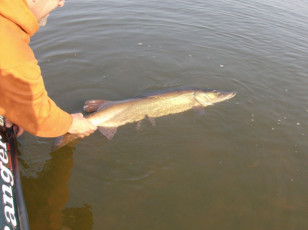 3BD9C3DD-BED2-403D-A8F1-3636E33A57BA