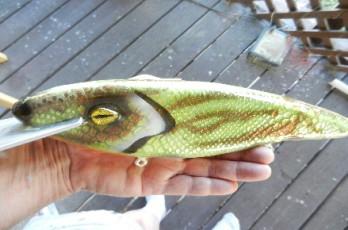 3BE83FDF-8C38-4735-B7C1-1B73302EB85C