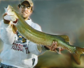 3C193A23-392F-4C0B-A7F2-AAC206FA9301