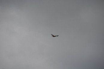 3C7B598A-8ECA-4C05-AC6E-6C328DE4183B