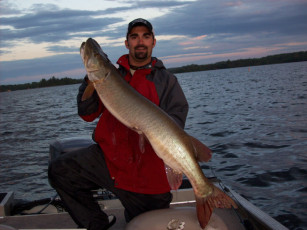 3CD06531-3E44-40A4-8015-6A9169509E13