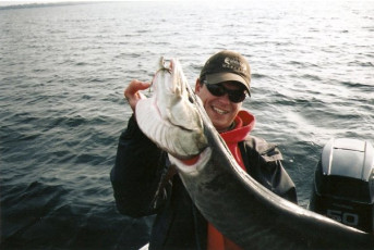 3D778322-5FEA-4C1D-8305-DB10691A15AB