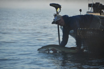 3DEF5E3E-9E1E-466C-8ECC-4AE73520304B