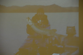 3E69DB6B-CA38-47C9-AD36-217AE2D74016