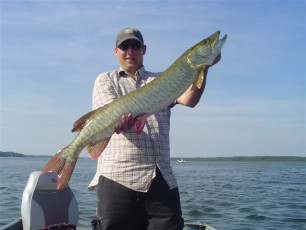 3E8557A9-0C1C-4183-AFEE-3B1327C5D236