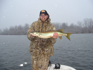 3a71c32c-d5af-4c3b-9c51-38f556d13f6e