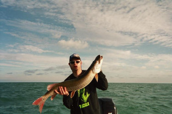 3a8c423b-e339-4c74-8708-8db0c88d10a2